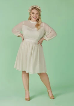 Sheerly Blessed In Bliss Fit And Flare Dress -Bunny Shop 110ea5a35d7b9db296c9fcb6e7fd9182